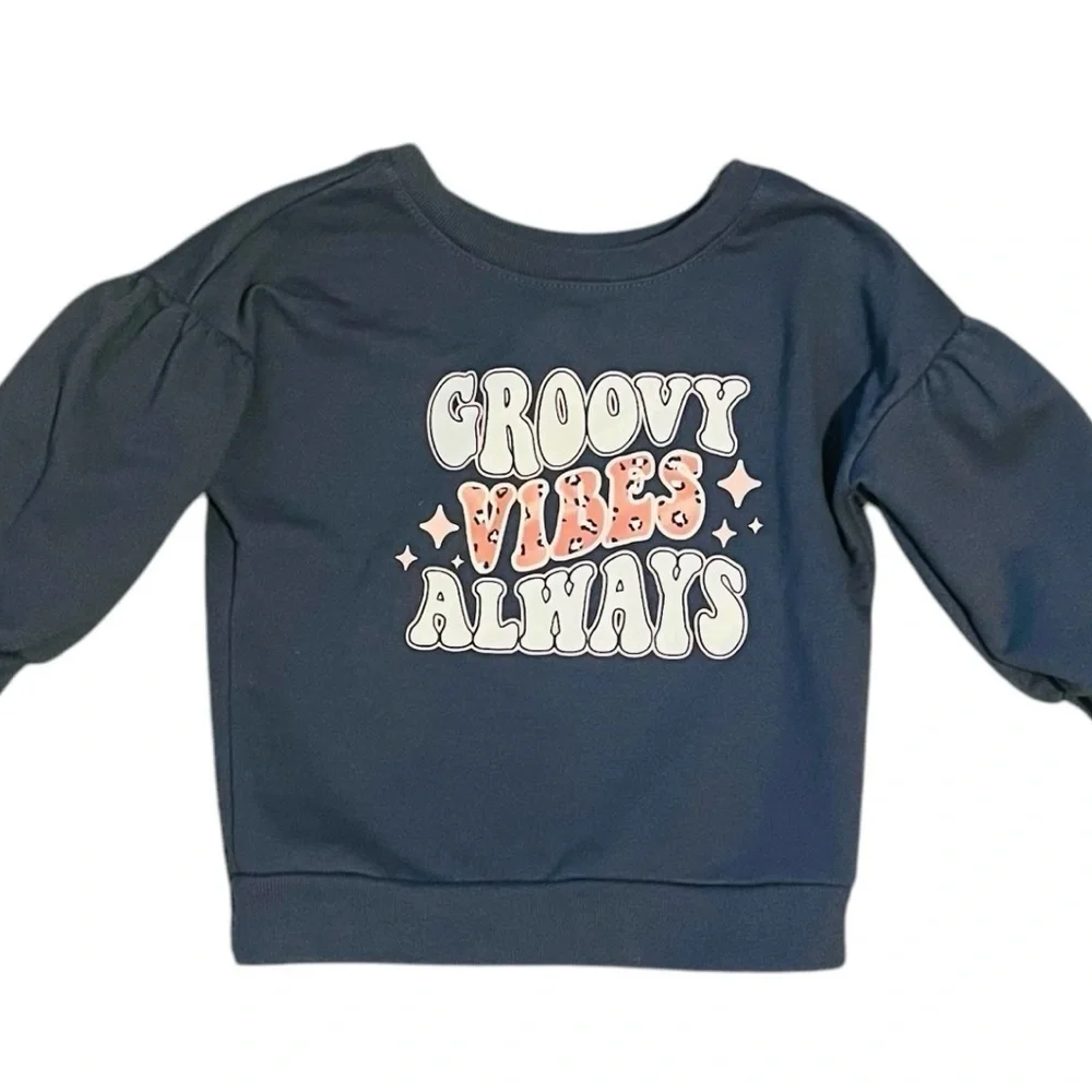 Garanimals French Terry graphic sweatshirt top slate gray Girls 12 Months